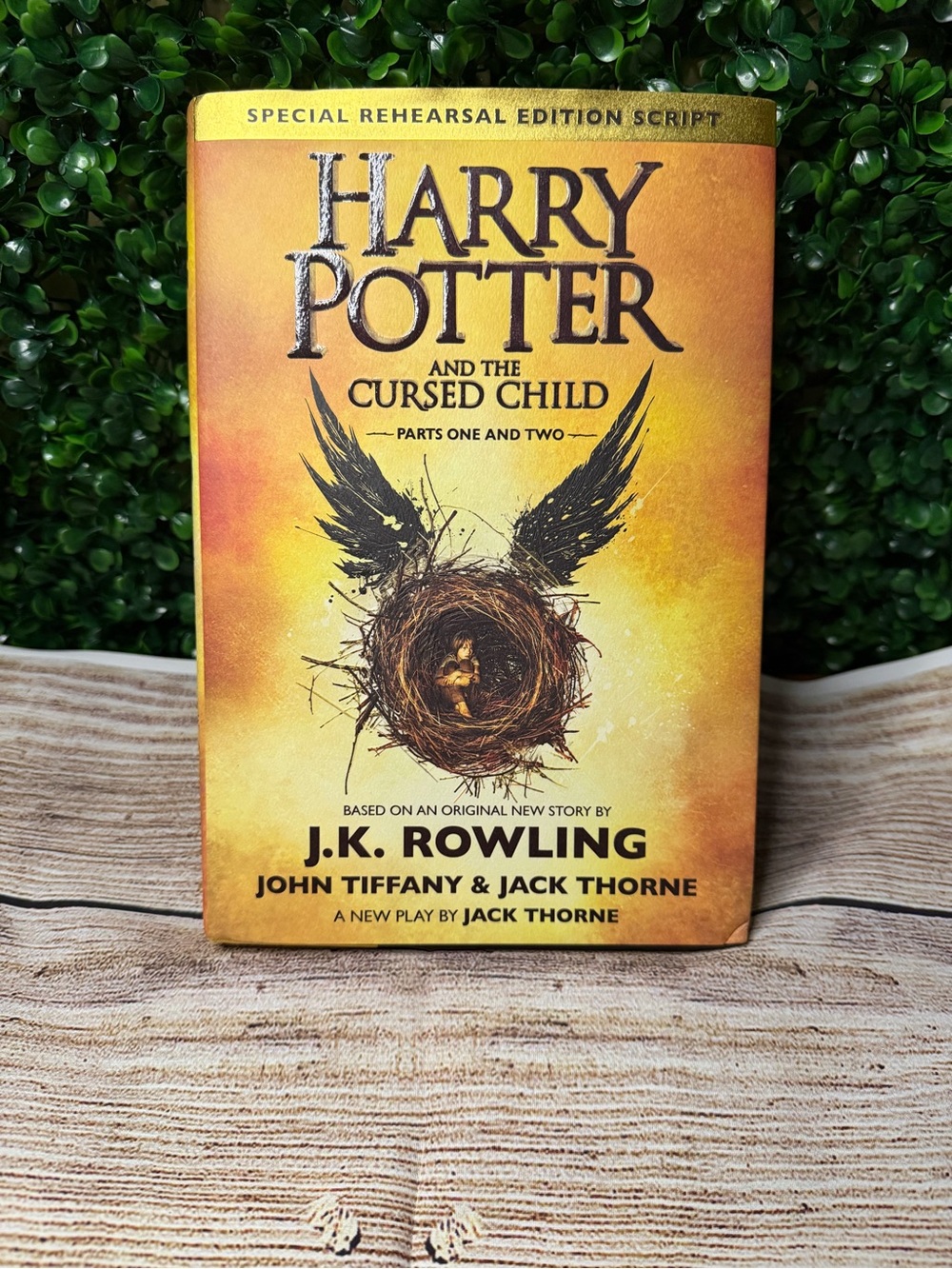 Harry Potter book